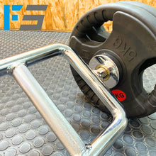 Cargar imagen en el visor de la galería, Barra romana pro con bujes 20 lb (9 kg)